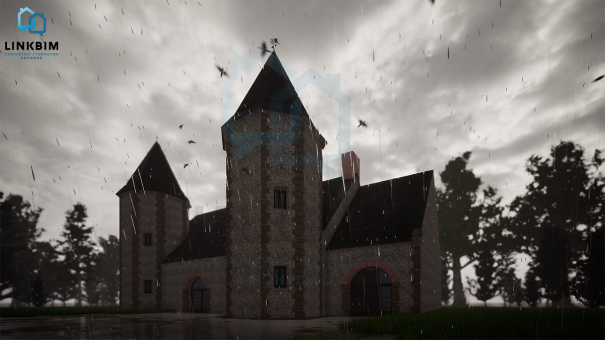 3D 06